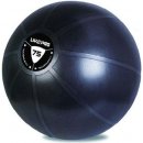 gymball LivePro STUDIO FIT EXERCISE 55 cm 65 cm