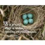 Madal Bal magnet na lednici Medituj na Láska Sri Chinmoy – Hledejceny.cz