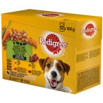 Pedigree masový výběr a zelenina ve šťávě 12 x 100 g – Sleviste.cz