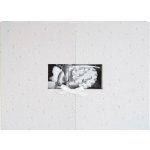 Fotoalbum 42x30 Artebene Just Married – Zboží Živě
