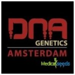 DNA Genetics Cannalope Haze semena neobsahují THC 3 ks – Zboží Dáma