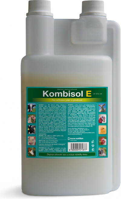 Kombisol E 1 l