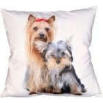 Forbyt Jorkšírský teriér 40 x 40 cm – Zboží Dáma