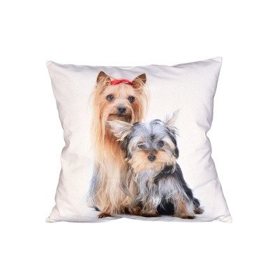 Forbyt Jorkšírský teriér 40 x 40 cm – Zboží Dáma