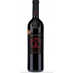 Masso Antico Primitivo Appassito 14% 0,75 l (holá láhev) – Hledejceny.cz