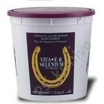 Farnam Vitamin E + Selenium 1,13 kg – Zboží Mobilmania