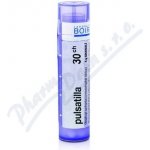 PULSATILLA POR 30CH GRA 4G – Hledejceny.cz