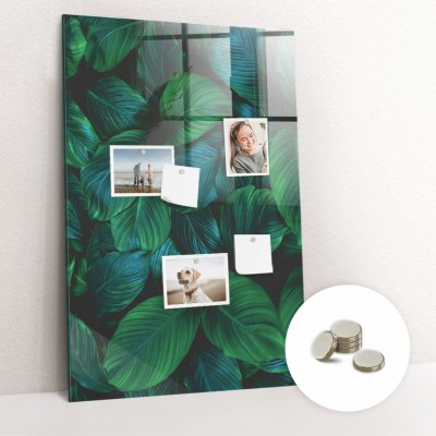 tulup Magnetická Tabule na Zeď Skleněná - Memo Board Kleněnou Přední Stranou - 5 magnetů v balení - 60 x 90 cm - Velké tropické listy – Zboží Mobilmania