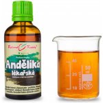 Bylinné kapky Andělika lékařská tinktura 50 ml – Hledejceny.cz