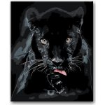 Zuty Malování podle čísel ČERNÁ PUMA – Hledejceny.cz