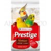 Versele-Laga Shell Sand Premium Marine 5kg