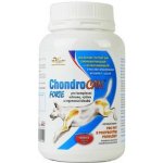 Orling - Chondrocan Forte 500 g – Hledejceny.cz