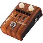 L.R. Baggs Align Equalizer – Sleviste.cz