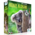 Albi Science Exkurze do divočiny Koaly klokani a další vačnatci – Zbozi.Blesk.cz