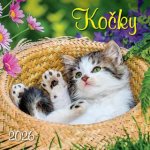 Kočky nástěnný 33 x 33 cm 2026 – Zboží Dáma