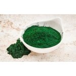 Hanoju Deutschland Bio SPIRULINA prášek 500 g – Hledejceny.cz
