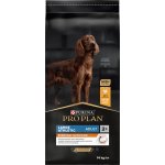 Pro Plan Large Adult Athletic Everyday Nutrition kuře 14 kg – Hledejceny.cz