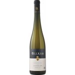 Allram Ried Gaisberg Gruner Veltliner 2022 Bílé 13% 0,75 l (holá láhev) – Hledejceny.cz