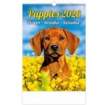 Helma nástěnný Puppies/Welpen/Štěňátka/Šteniatka 24 × 33 cm 2026 – Hledejceny.cz