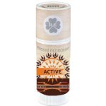 RaE přírodní deostick Santalové dřevo 25 ml – Zboží Dáma