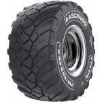 ASCENSO FTR170 560/60-22.5 164D TL – Hledejceny.cz
