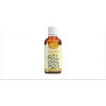 Serafin Třezalka tinktura z pupenů 50 ml – Hledejceny.cz