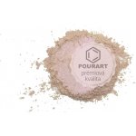 PourArt Metalický prášek DK173 Aurora White Purple Light 10 g – Sleviste.cz