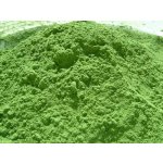 Salvia Paradise Mladý zelený ječmen BIO 250 g – Hledejceny.cz