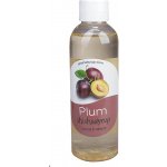 ShishaSyrup Melasa Švestka 100 ml – Zboží Dáma