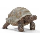  Schleich 14824 Wild Life Giant tortoise