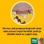 Pedigree Dentastix Daily Oral Care dentální pamlsky pro psy velkých plemen 28 ks 1080 g – HobbyKompas.cz