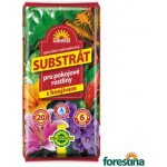 Forestina Substrát pro pokojové rostliny 20 l – Hledejceny.cz