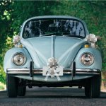Chaks Chaks Dekorácia na auto s mašľami - Silver Bow – Sleviste.cz