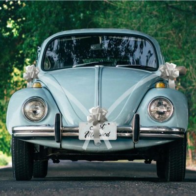 Chaks Chaks Dekorácia na auto s mašľami - Silver Bow – Sleviste.cz