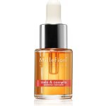 Millefiori Milano aroma olej jablko se skořicí 15 ml – Hledejceny.cz