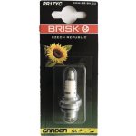Zapalovací svíčka BRISK PR17YC – Hledejceny.cz