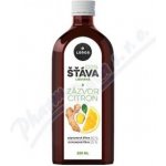 Leros 100% šťáva vylisovaná ze zázvoru a citronu 250 l – Zbozi.Blesk.cz