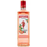 Beefeater Peach & Raspberry 37,5% 0,7 l (holá láhev) – Zbozi.Blesk.cz