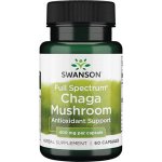 Swanson Full Spectrum Chaga Mushroom 400 mg 60 kapslí – Hledejceny.cz