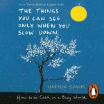 Things You Can See Only When You Slow Down: How to be Calm in a Busy World – Zbozi.Blesk.cz
