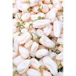 Habanero Albine – Zboží Dáma