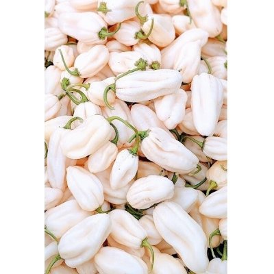 Habanero Albine – Zboží Dáma