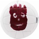 Volejbalový míč Wilson Mr. Wilson Cast Away