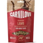CARNILOVE Cat CRUNCHY Snack Lamb enriched with Blackberries 50 g – Hledejceny.cz