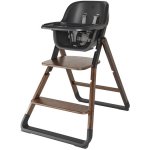 Ergobaby Evolve 3v1 Dark Wood – Hledejceny.cz