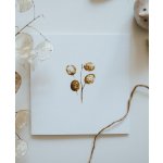 Be Nice EKO Přání Krásné narozeniny – Zboží Mobilmania