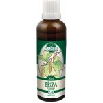 Naděje Podhorná Bez černý tinktura z pupenů 50 ml – Hledejceny.cz