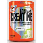 Extrifit Creatine Germany 300 g – Hledejceny.cz