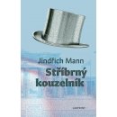 Kniha Stříbrný kouzelník - Jindřich Mann