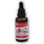 Zdravý den Stevia kapky 50 ml Natural – Zboží Dáma